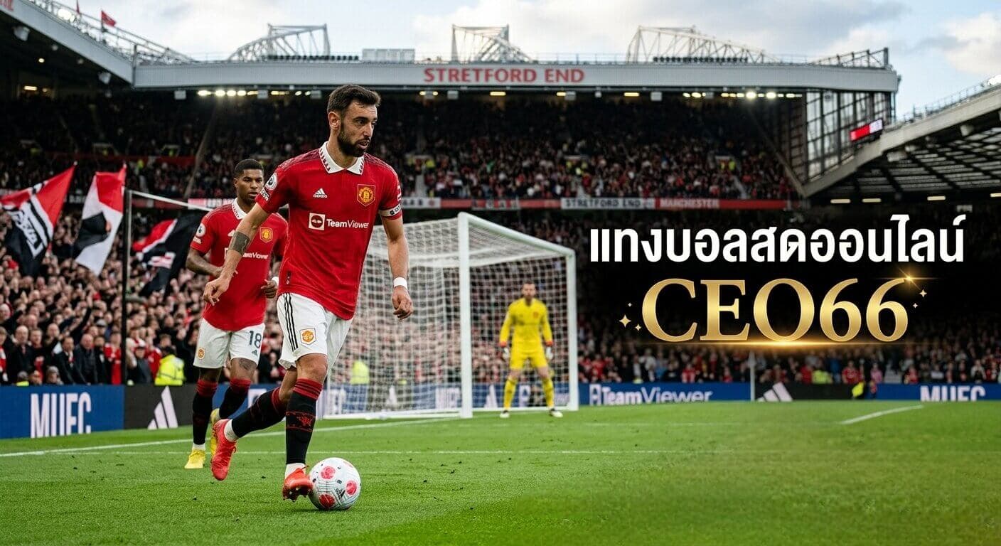 แทงบอลออนไลน์ CEO66 ฉบับ 2026 ราคาบอลดีที่สุด ถอนเร็ว ไม่ผ่านเอเย่นต์
